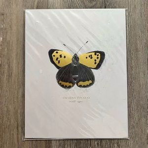 Gold Foiled Butterfly Graphic Art Print 8x10